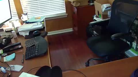 exhibitman69_ldb online show from 02-14-25, 10:04