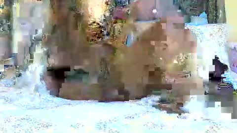 explicitly_certified online show from 03-03-25, 07:49