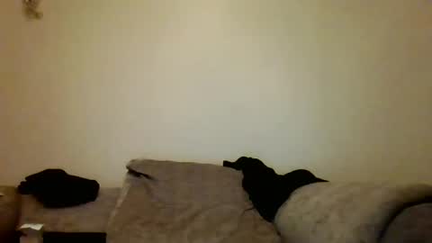 the masturbator online show from 03-07-25, 04:46