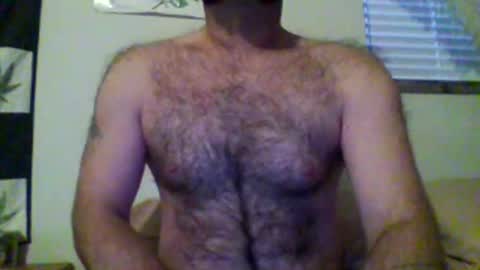 faceforyourbutt online show from 12-02-25, 02:56