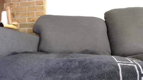 fafnir1278 online show from 01-20-25, 06:10