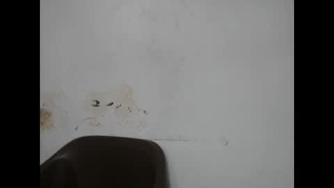 Snapshot of fairyslut9 chatting on 03-02-26, 11:44 fairyslut9 online show from 03-02-26, 11:44