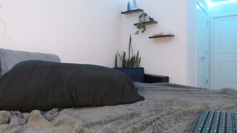 Snapshot of fallonxgray chatting on 03-08-25, 11:28 Fallon Gray online show from 03-08-25, 11:28