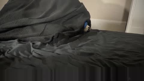 Fango online show from 01-12-26, 02:39