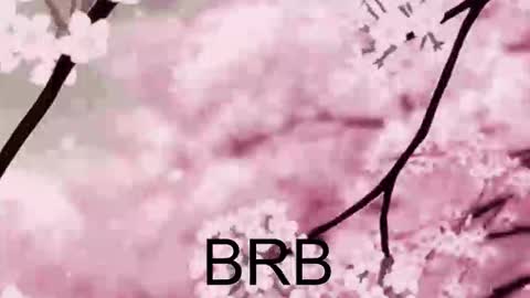 Snapshot of farahmantifel chatting on 10-10-25, 01:43 Anna Scovich online show from 10-10-25, 01:43