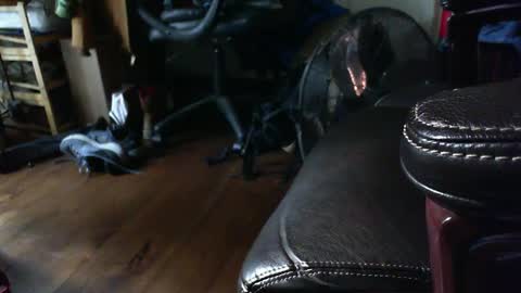 Snapshot of farmershawn chatting on 09-15-25, 01:33 Shawn online show from 09-15-25, 01:33