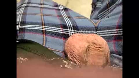 Snapshot of fartinmymouthplz chatting on 11-18-25, 03:45 fartinmymouthplz online show from 11-18-25, 03:45