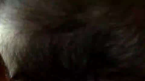 FastStr0ker10 online show from 12-21-25, 09:11