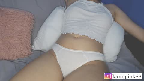 Snapshot of favicam chatting on 12-13-24, 12:42 kamipink88 online show from 12-13-24, 12:42