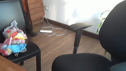 Snapshot of fedeglobos chatting on 09-17-25, 09:05 fedeGLOBOS online show from 09-17-25, 09:05