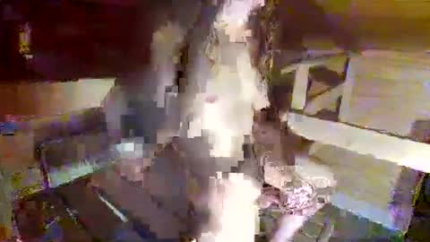 feet__sucker online show from 09-22-25, 08:22