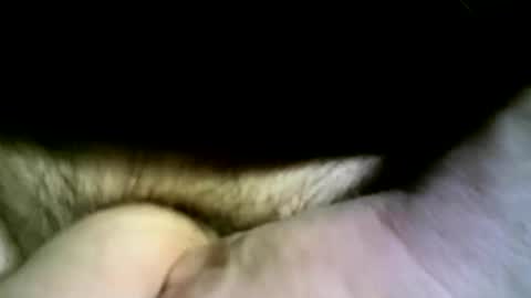 Snapshot of felicaste chatting on 04-13-26, 04:34 felicaste online show from 04-13-26, 04:34