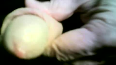 Snapshot of felicaste chatting on 04-17-26, 09:18 felicaste online show from 04-17-26, 09:18