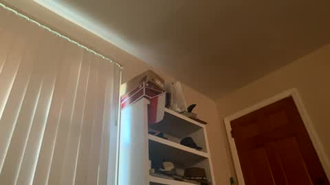 Snapshot of felicitybliss29 chatting on 12-03-24, 08:50 felicitybliss29 online show from 12-03-24, 08:50