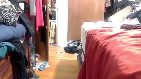 Snapshot of felicitybliss29 chatting on 10-16-25, 04:57 felicitybliss29 online show from 10-16-25, 04:57