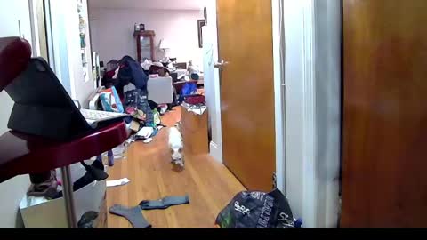 Snapshot of felicitybliss29 chatting on 11-06-25, 04:24 felicitybliss29 online show from 11-06-25, 04:24