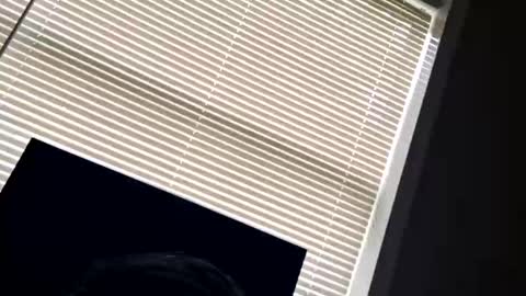 fer28639 online show from 09-24-25, 06:00