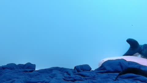 Snapshot of feralasf chatting on 02-28-25, 02:09 FE fee online show from 02-28-25, 02:09