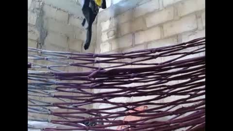 fernandez_latinblack online show from 10-01-25, 02:12