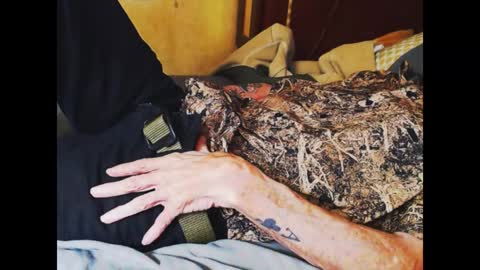 ferra_testarossa online show from 01-04-25, 02:56