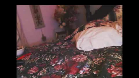 ferra_testarossa online show from 11-05-25, 03:17