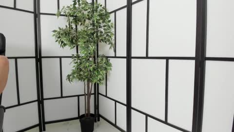 fetish_life online show from 01-11-25, 05:51