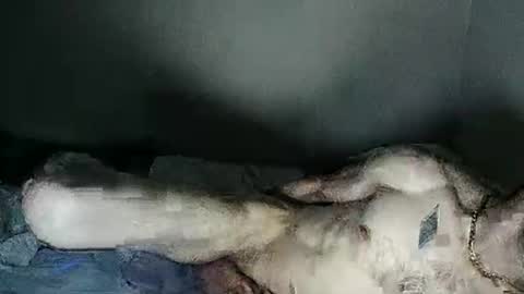 fetishsearch1abdl online show from 02-27-25, 06:18