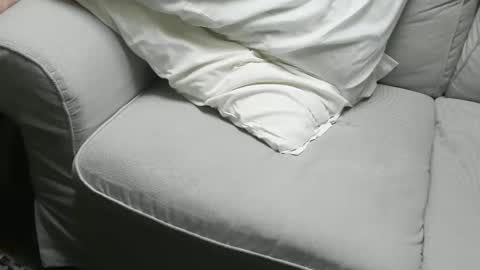 Fid online show from 11-16-25, 09:48