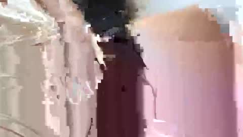 fifipan online show from 10-25-25, 09:28