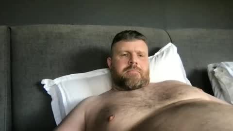 Snapshot of fin_dom_bear chatting on 05-25-26, 02:23 fin bear dom online show from 05-25-26, 02:23