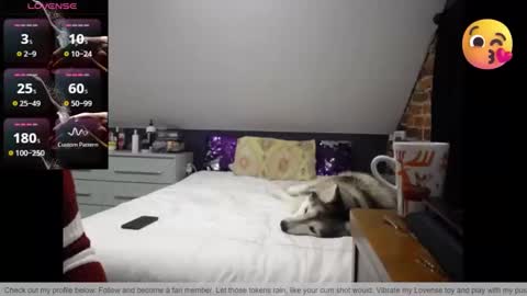 Fionna online show from 03-30-26, 01:17