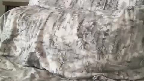 FitCollegeStudxx online show from 02-17-25, 07:21