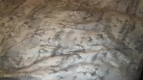 FitCollegeStudxx online show from 02-25-25, 03:42