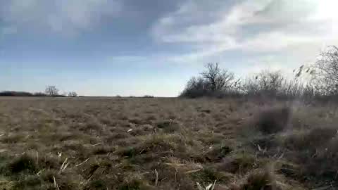 fitgentleman999 online show from 03-08-26, 02:21