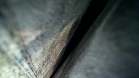 flash online show from 02-28-26, 04:13