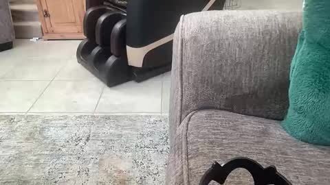 Flirtyfayex online show from 02-08-26, 11:41