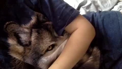 Snapshot of floraexploration chatting on 12-22-24, 11:22 floraexploration online show from 12-22-24, 11:22