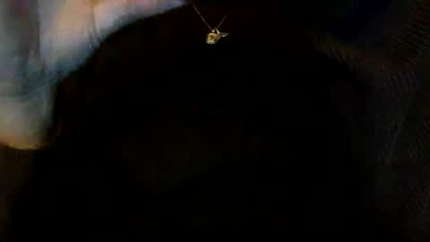 Snapshot of floraexploration chatting on 12-23-24, 06:27 floraexploration online show from 12-23-24, 06:27