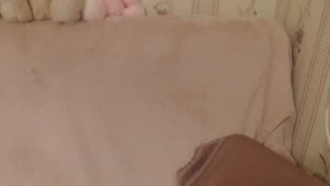 say meow and send tip  online show from 06-26-26, 05:39