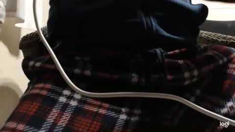 flowerpower622 online show from 01-06-26, 10:23