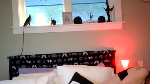 forbiddenwifey online show from 04-08-26, 02:33