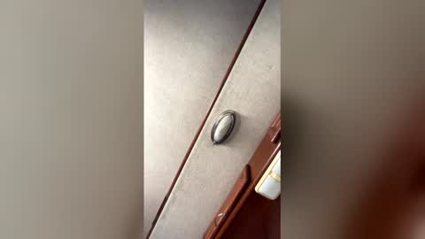 fordfocusz online show from 03-16-26, 10:03