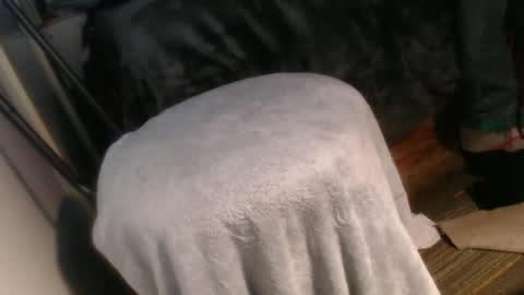 forestnymphpdx online show from 12-20-24, 10:16