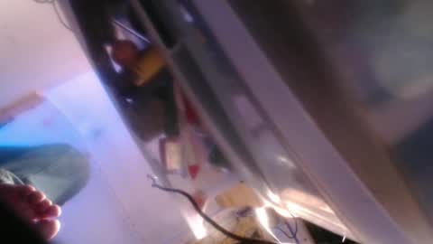 forestnymphpdx online show from 12-31-24, 10:15