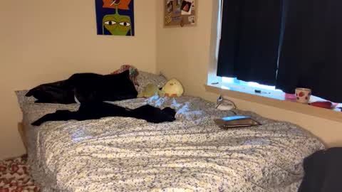 beautiful blair online show from 01-09-25, 07:18