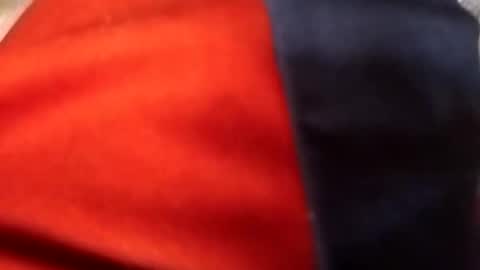 Snapshot of francis158915 chatting on 09-11-25, 05:02 francis158915 online show from 09-11-25, 05:02