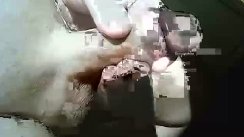 Frank online show from 03-29-26, 10:37