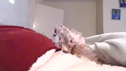 frankiel745 online show from 12-09-24, 12:40