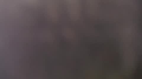 Snapshot of frasalv chatting on 05-15-26, 10:44 francescosal online show from 05-15-26, 10:44