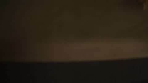 Diyana online show from 10-04-25, 09:57